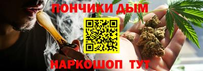 крисы Будённовск