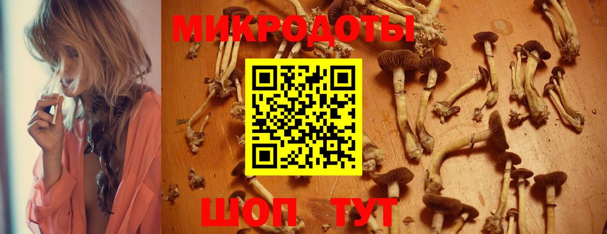 Псилоцибиновые грибы прущие грибы Октябрьский