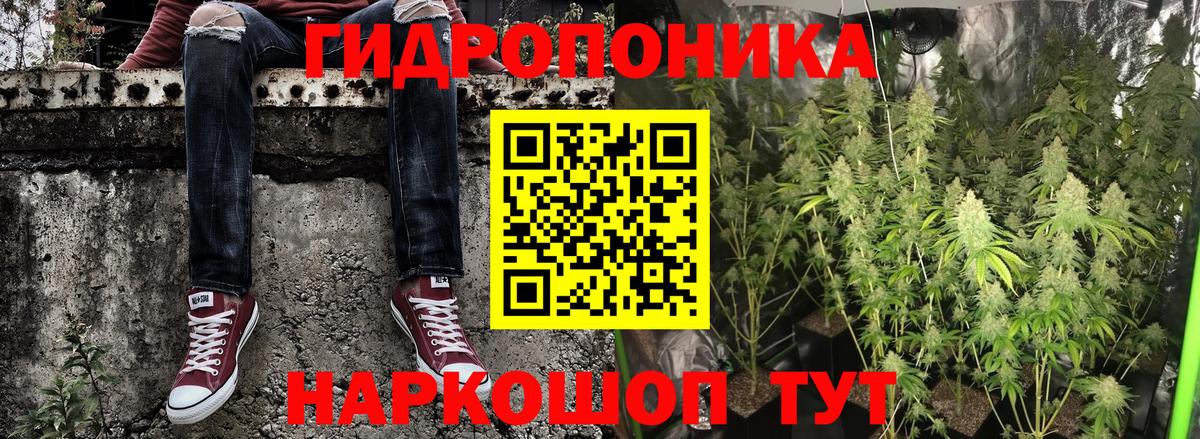 Каннабис ГИДРОПОН  МАРИХУАНА VHQ  Марихуана Bruce Banner  Октябрьский  Вход с VPN 